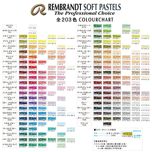 Royal Talens Rembrandt Artists' Soft Pastel, 227.9 Yellow Ochre (31992279)