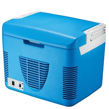Amazon.es: sgtrehyc Mini refrigerador del Coche refrigerador ...