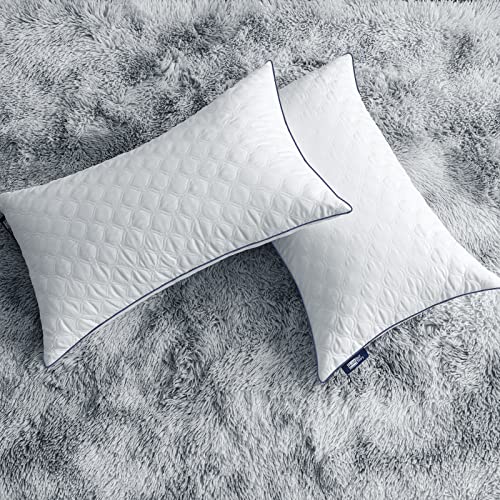 BedStory 2 Pack Standard Size Hotel Collection Pillows, Hypoallergenic