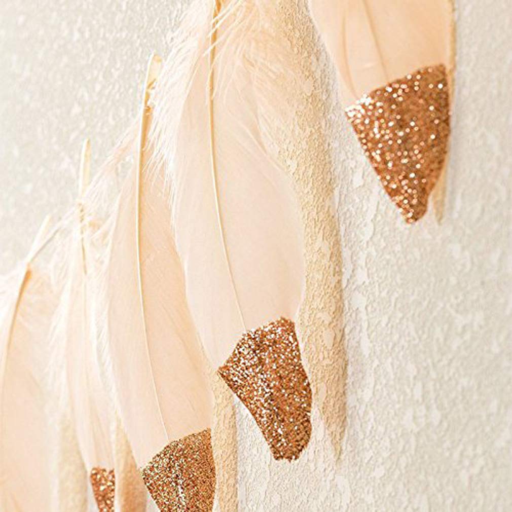 Toogoo Feder Girlande Rose Gold Glitter Getaucht Weiche Feder Banner Fuer Schlafzimmer Bohemian Tipi Dekorationen Boho Thema Hochzeit Bridal Baby Shower Deco Rosa Banner Girlanden Maideasyaz Com