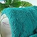 CaliTime Blanket Super Soft Warm Plush Fuzzy Faux Fur Bed Throw for Couch Sofa Bedding Living Room 60 X 80 Inches Teal