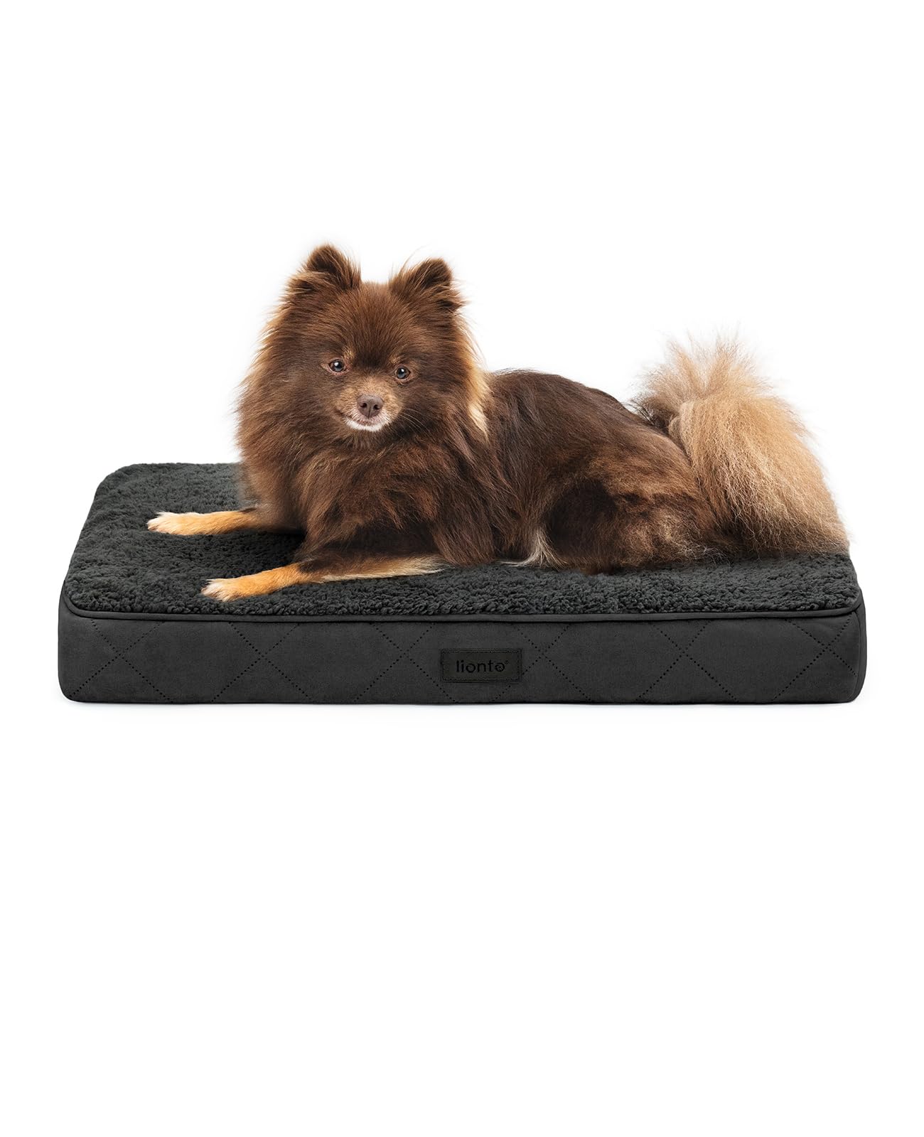 lionto Orthopaedic Dog Bed, 60 x 40 x 8 cm, Robust Dog Cushion with Soft Plush, Removable & Washable Cover, Water-Repellent, Suitable for Small and Large Dogs + Cats, Black