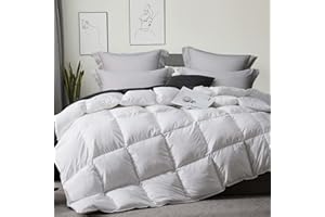 Dorrin Nessin White Queen Size Feather Down Fiber Comforter, 100% Natural Cotton Cover Lightweight All Season Duvet Insert with 8 Tabs,90x90 Inches