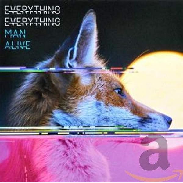 Everything Everything - A Fever Dream - Amazon.com Music