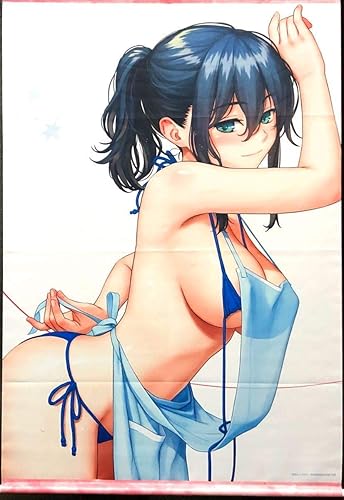 Amazon Co Jp ホムンクルス マイクロビキニ美少女 B2タペストリー ワニマガジン 水着 エプロン 美少女 グッズ ホビー 通販