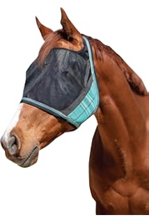 Amazon Com Kensington Horse Fly Mask With Protective Mesh And Plush Fleece Ears Protection From Insect Bites And Perfect For Wound Recovery Sports Outdoors