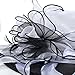 Women Organza Kentucky Derby Church Dress Fascinator Wide Brim Wedding Tea Party Hats (Floral White)