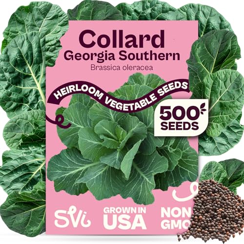 Georgia Southern Collard Green Seeds