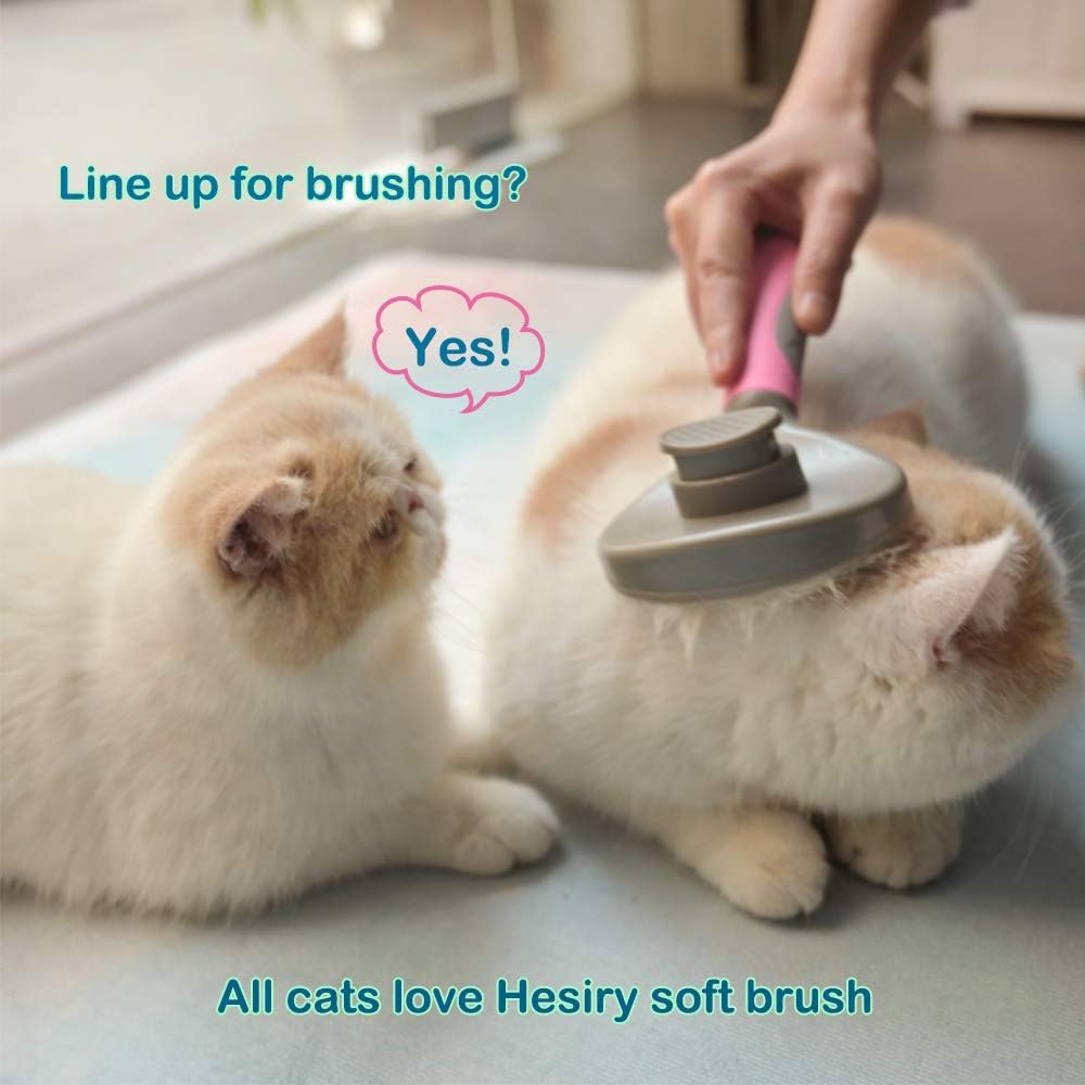 Hesiry Cat Grooming Massage Brush Pet Soft Shedding Brush, Removes Loose Undercoat Gently, Pet Slicker Brush for Matted and Tangled Hair with Self Cleaning Button : Pet Supplies