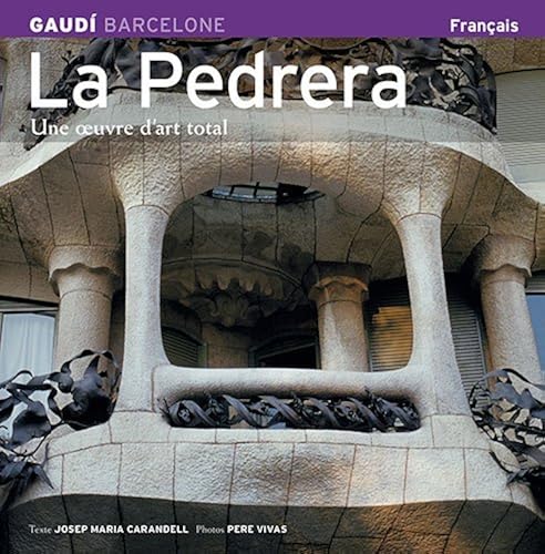 Download La Pedrera : une oeuvre d'art total PDF