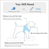 Joytale Step in Dog Harness Soft Mesh Reflective Easy Walk Harness Sky Blue view 7