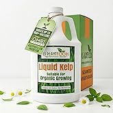 GS Plant Foods Liquid Kelp Fertilizer – Suitable for Organic Growing, OMRI Listed Seaweed Concentrate for Lawns, Gardens & Soil - 1 Gallon (Makes Up To 800+ Gallons)