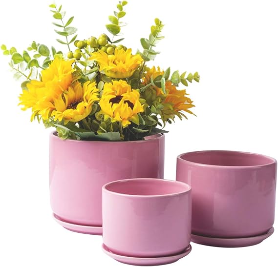 Succulent Plant Pots Buymax 4.2+5.2+6.2 in Glazed Ceramic