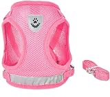 FEimaX Small Cat Dog Harness and Leash Set Reflective Strips Adjustable No Pull view 2