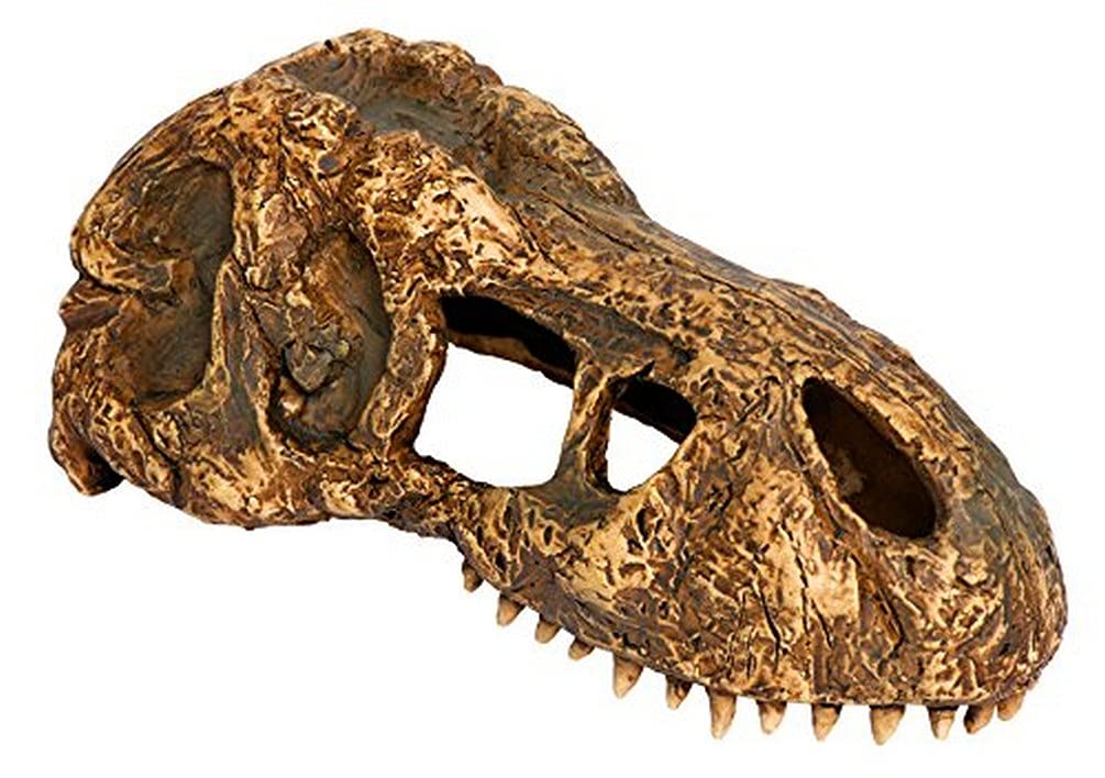 Exo Terra T-Rex Skull, Small