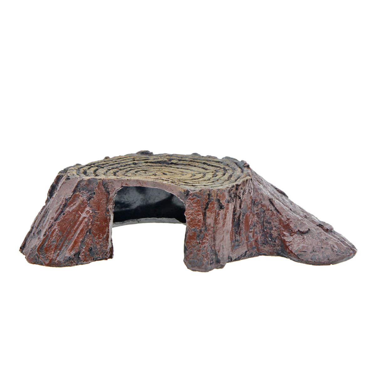View 5