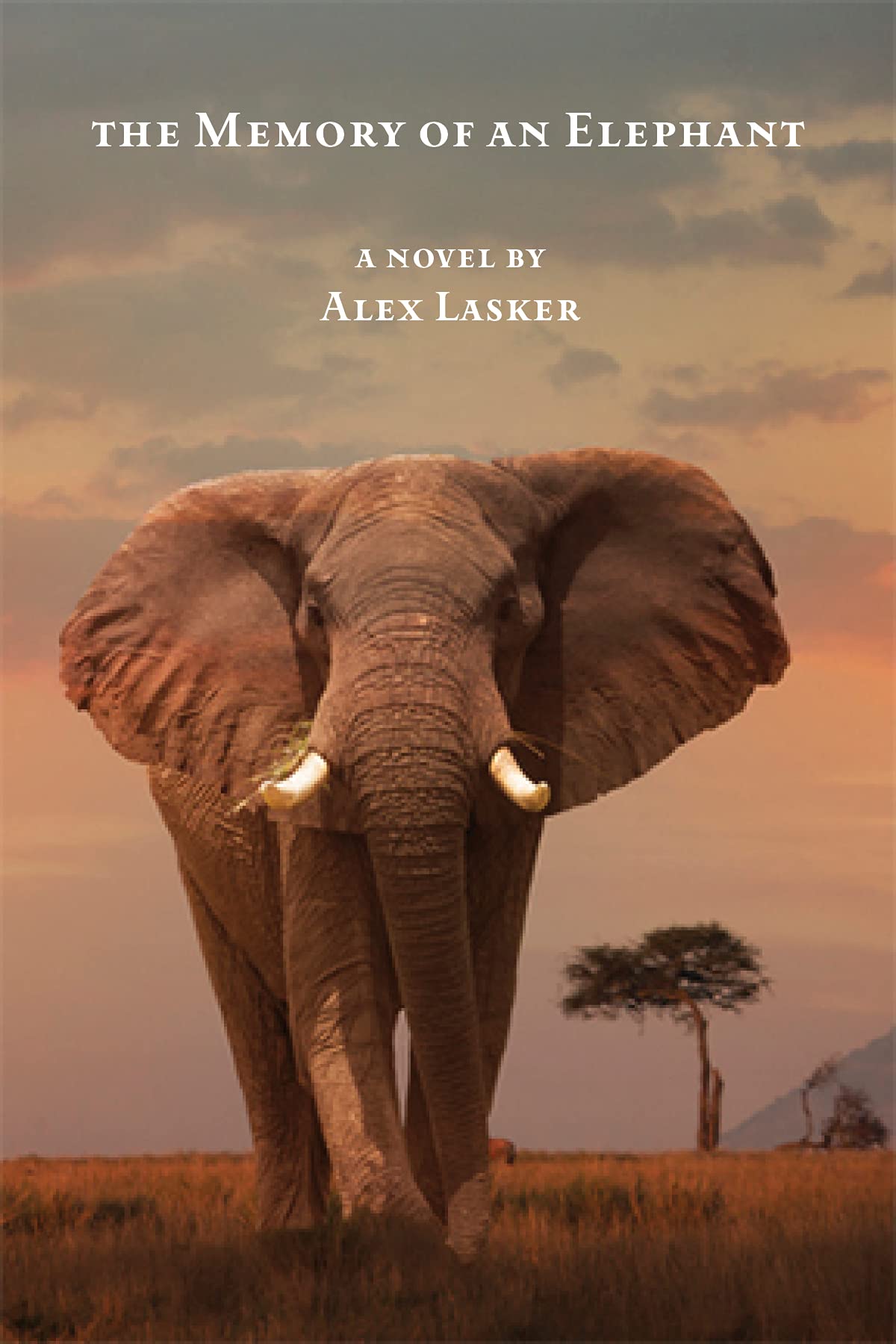 The Memory of an Elephant The Memory of an Elephant Kindle Paperback Audible Audiobook