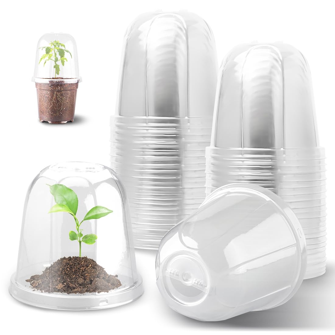 Photo 1 of 6 Inch Clear Plastic Humidity Dome, 30 Pcs Adjustable Transparent Plant Domes for 6" Seedlings Nursery Pots, Reusable Thick Plastic Grow Dome Cover for Seed Starter Pots Outdoor Gardening Plant Growth