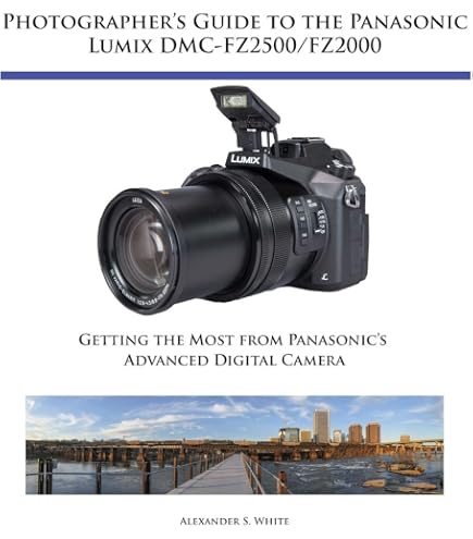 Amazon.com : Panasonic LUMIX FZ2500 4K Point and Shoot Camera, 20X