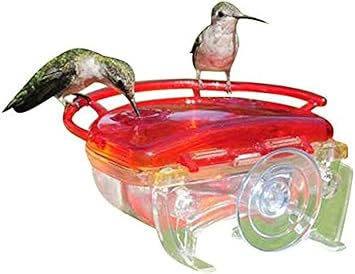 Amazon Com Aspects Aspects437 The Gem Window Hummingbird Feeder