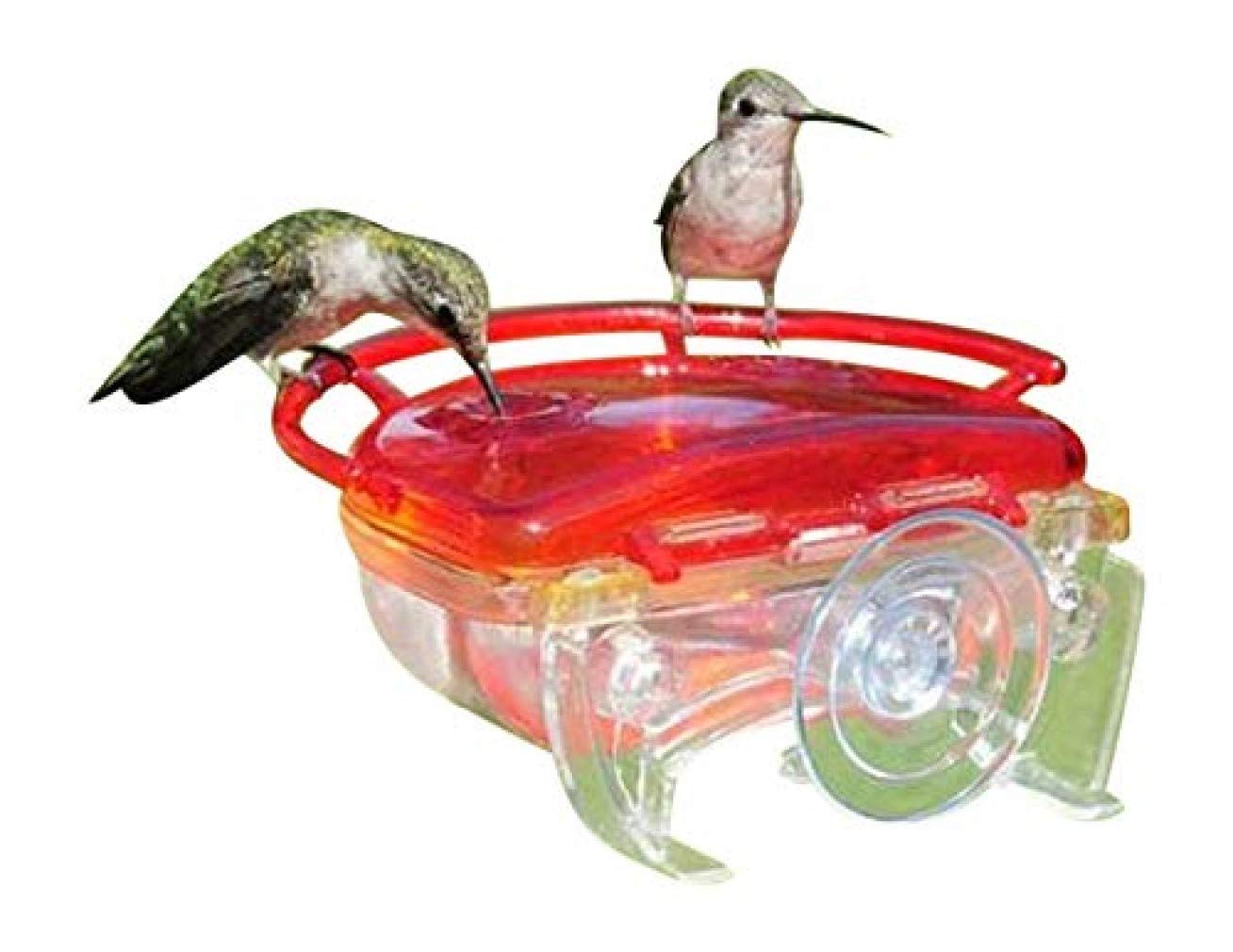 Aspects Aspects437 The Gem Window Hummingbird Feeder Amazon In