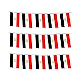 Egypt Flag Egyptian Flag, Small String Egypt Flags