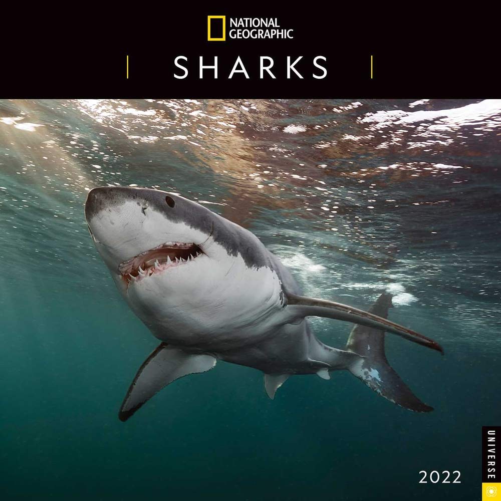 Shark Week Calendar 2022 Amazon.com: National Geographic: Sharks 2022 Wall Calendar: 0676728040880:  National Geographic: Books