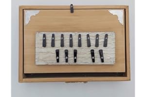 Handmade Shruti Box Professional Quality with Bag