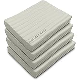 ReArt Non-Drying Oil-Based Modeling Clay 2.6 Pounds, Non Hardening Reusable Clay, Non Toxic No Bake Professional Oil Base Sculpting Clay (White)