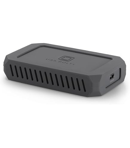 Amazon.com: ProGrade Digital 4TB Pro Mini USB 4.0 External SSD