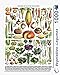 New York Puzzle Company - Vintage Images Vegetables ~ Légumes - 1000 Piece Jigsaw Puzzle for Family Game Nights by Adolphe Philippe Millot