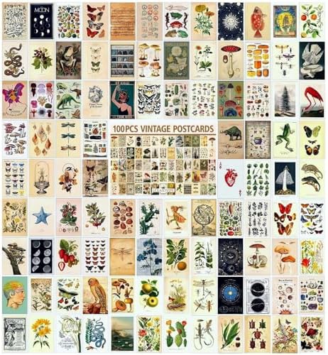 Amazon.com: Flower Fairies One Hundred Postcards: 9780723268420