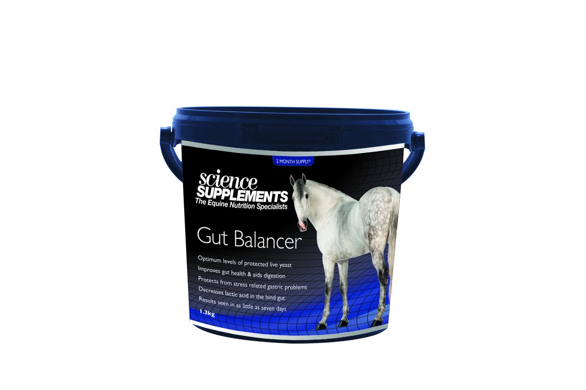 Other SCIENCE SUPPLEMENTS GUT BALANCER