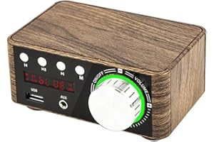 Bloepum 50W + 50W 100W Bluetooth 5.0 Amplifier Digital Audio Power Amp Class D USB AUX TF Home Theater HiFi Stereo Wood