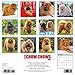 Just Chow Chows 2017 Wall Calendar (Dog Breed Calendars)