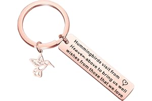 HOLLP Hummingbird Keychain Free Bird Jewelry Humming Bird Lover Keyring Gift for My Love Wishes Jewelry Hope Gift