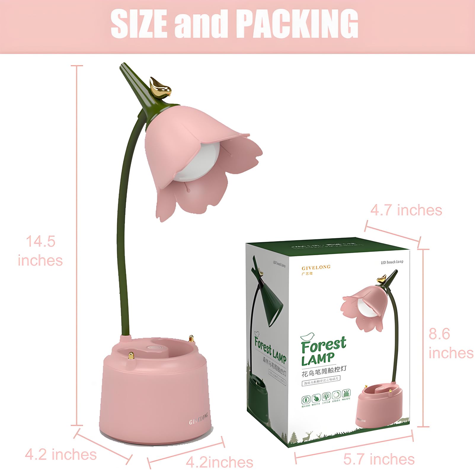 View 2