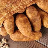 Simply Seed - Russet Burbanks - Organic Grown Seed Potatoes - 5 LBS - Ready for Fall Planting