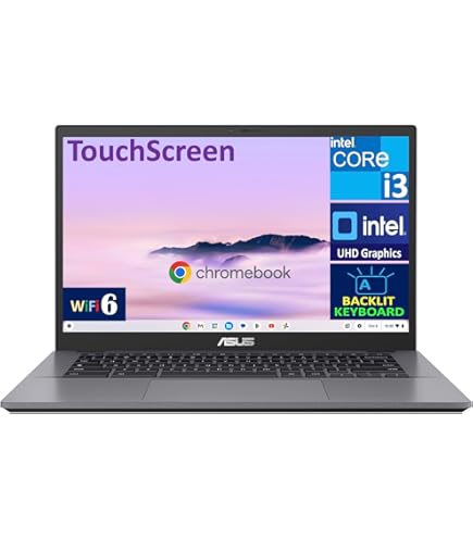 Amazon.com: Asus Chromebook C424 C424MA-DH48F 14 Chromebook