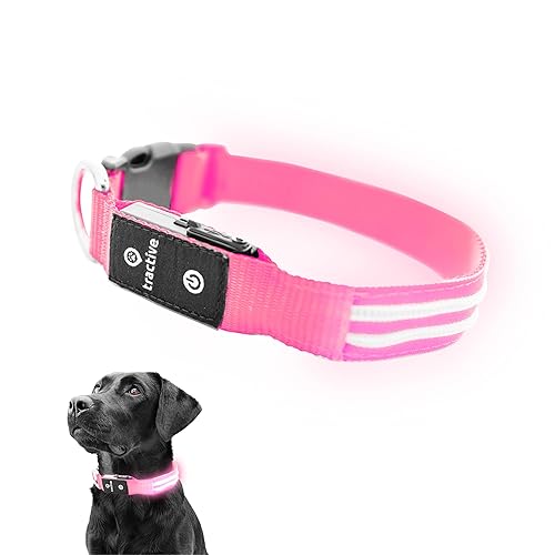 Pet Supplies Dog Glow Collar Amazon Tractive LED Light Up Dog