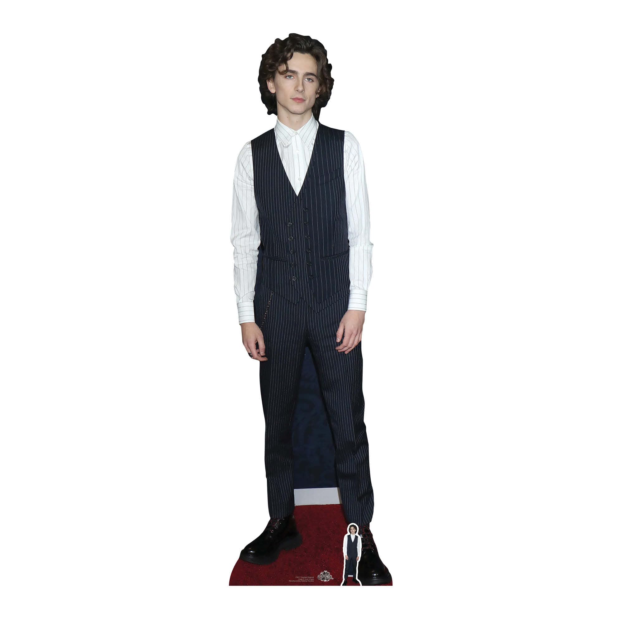 Star Cutouts CS817 Timothee Chalamet Cardboard Cutout Perfect for Fans Height 179cm Width 53cm
