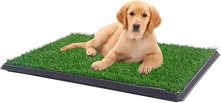 outdoor pee mat for dogs