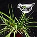 DOYOLLA Set of 2 Bird-Shaped House Plant Self Watering System is Easy As Aqua Globes. Automatic Globe Irrigation for Patio, Lawn, Garden Pot Or Planter