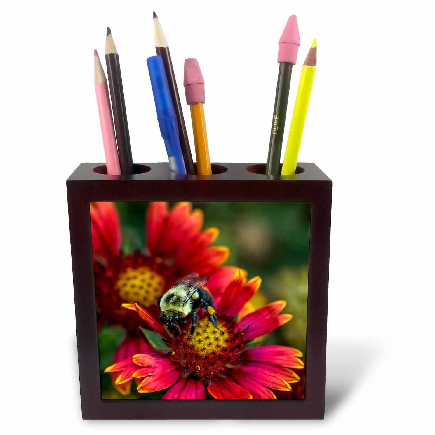 3dRose ph_230803_1 5-Inch "Close-Up of Bumblebee with Pollen Basket on Indian Blanket Flower" Tile Pen Holder