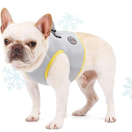 dog cooling jacket amazon