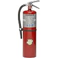 BUCKEYE Fire Extinguisher, 4A:80B:C, 10 lb., 21in.H, Red