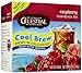 Celestial Seasonings Raspberry Cool Brew Iced Black Tea, 40 Tea Bags