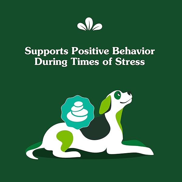 GREENIES SUPPLEMENTS CALMING CHEWS FOR DOGS CHICKEN FLAVOR, 14.7 OZ. CONTAINER OF 80 CT.