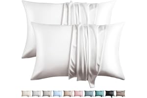 WLOSJ 100% Silk Pillow Cases 2 Pack Queen Size Mulberry Silk Pillowcase for Hair and Skin Highest Grade 6A Silk Soft Breathab