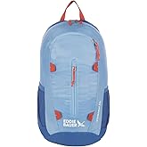 Eddie Bauer Stowaway Packable Backpack | Travel | Outdoor | Lightweight | Foldable | Durable | Ripstop Polyester | 20L - Coast Blue